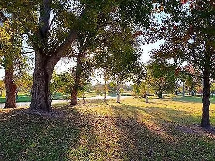Boulevard Motel Stanthorpe 3*,